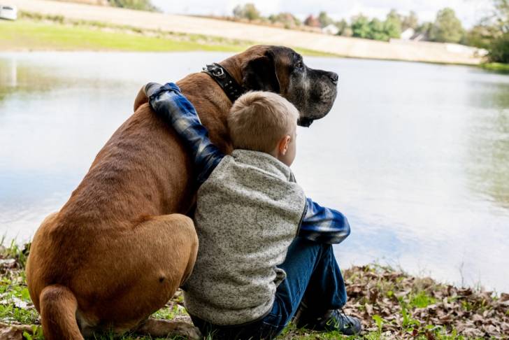 Un Mastiff et un jeune garçon assis côte à côte devant un lac