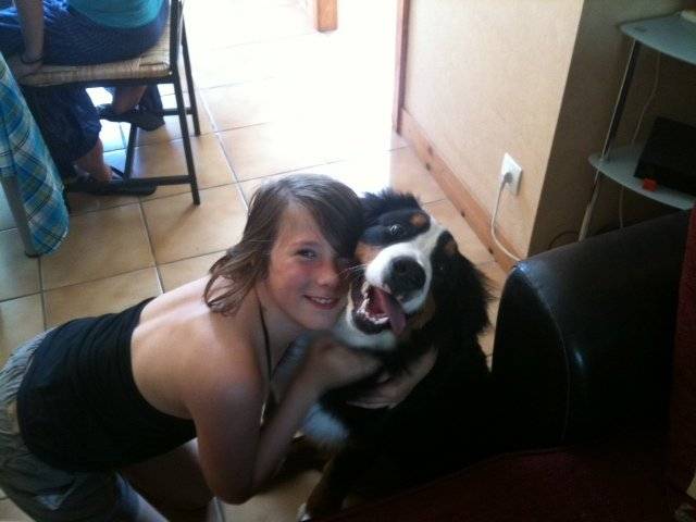 Grim - Bouvier Bernois (8 mois)