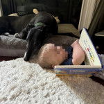 Un American Staghound allong&eacute; sur un panier &agrave; c&ocirc;t&eacute; d'un enfant