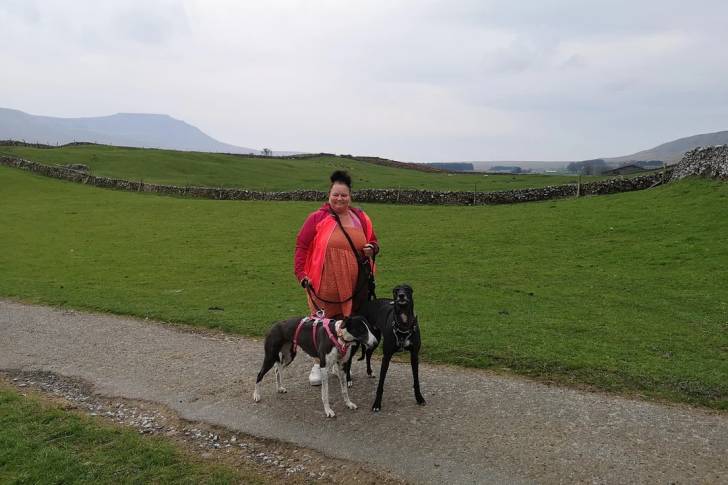 Deux American Staghound tenu en laisse par une dame
