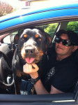 elfy - Rottweiler (3 ans)