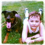 King - Rottweiler Mâle (1 an)