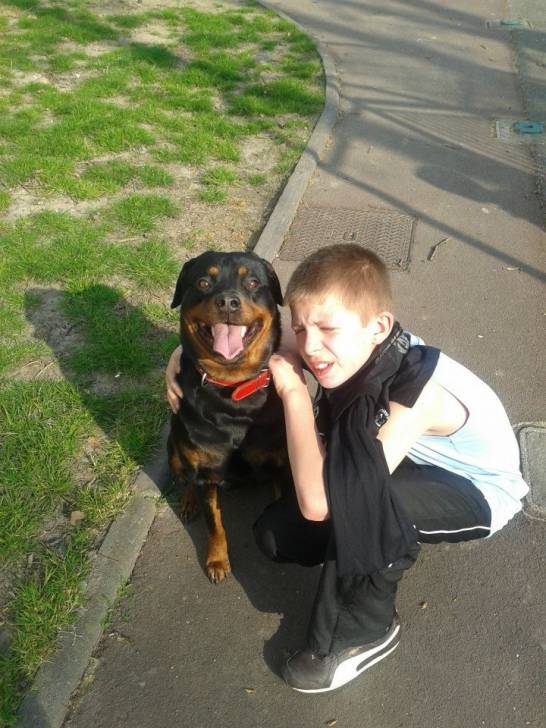 Nina - Rottweiler (2 ans)