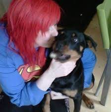 Knox - Rottweiler Mâle (6 ans)