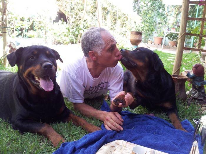 Margo et Karmen avec leur maître - Rottweiler