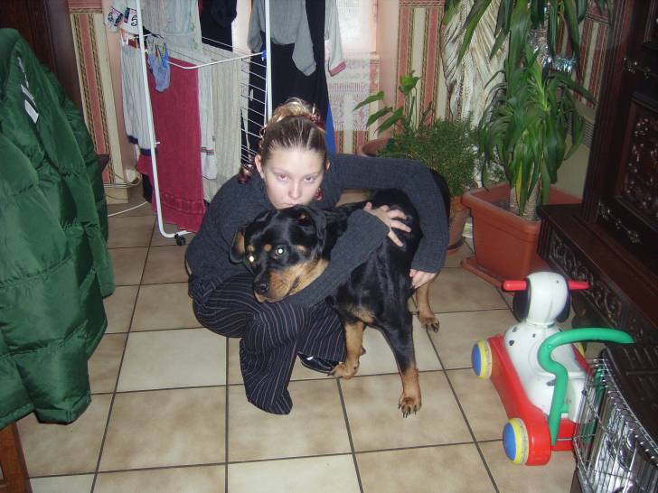 laila - Rottweiler (6 ans)