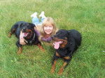 Elena, Margo et Karmen - Rottweiler