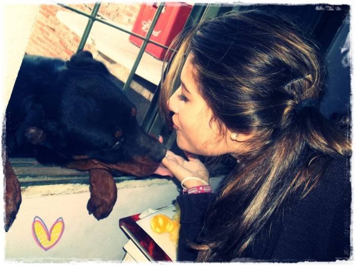 Deisy - Rottweiler Femelle (2 ans)