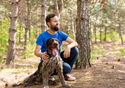 Un Drahthaar tient compagnie à son maitre