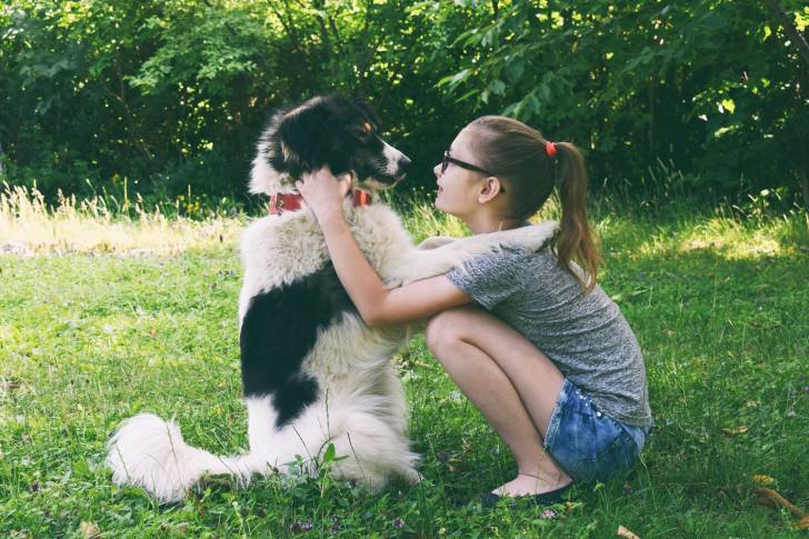 Photo Berger Roumain des Carpathes