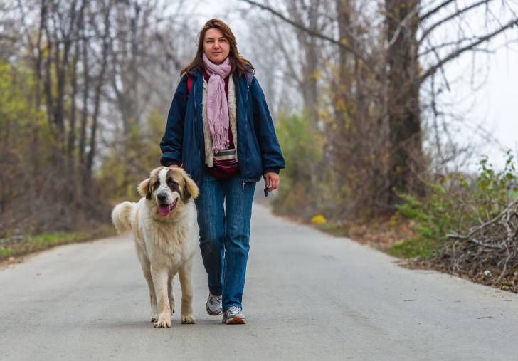 Photo Berger Roumain de Bucovine