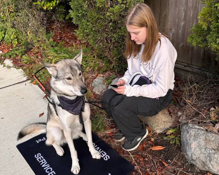Un Tamaskan assis sur un tapis à côté de sa maîtresse