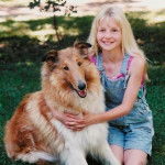 Laika - Colley à Poil Long (4 ans)