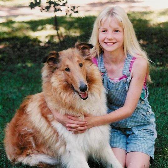Laika - Colley à Poil Long (4 ans)