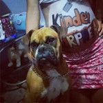 Isis SDO - Boxer (9 ans)