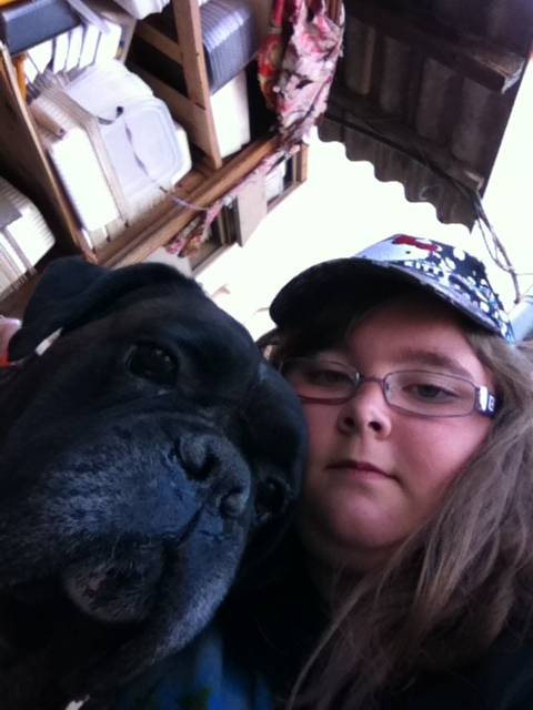 Vasco - Boxer Mâle (7 ans)