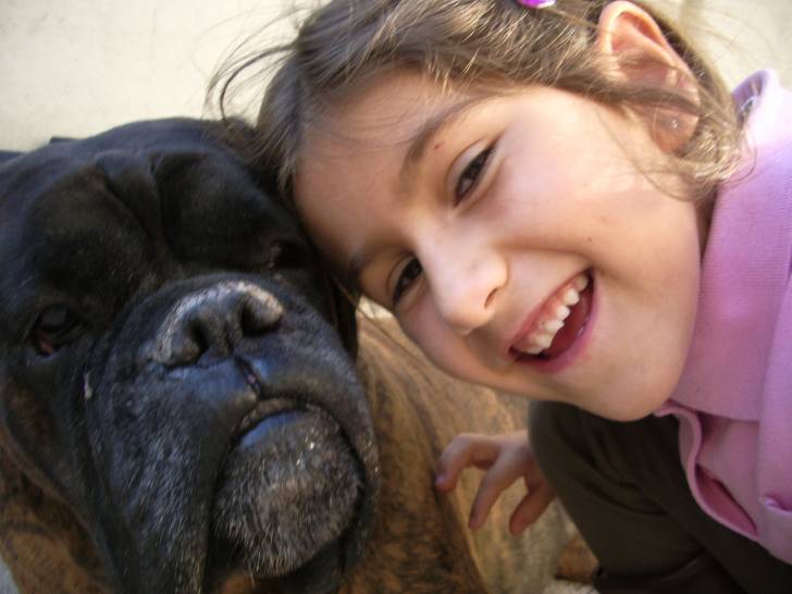 Orus - Boxer Mâle (10 ans)