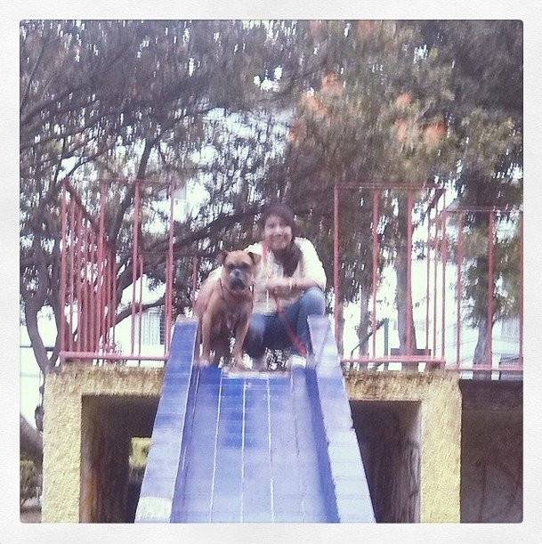 Isis SDO - Boxer (9 ans)