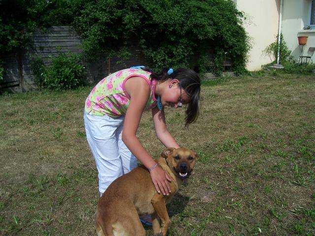 boxer ulka - Boxer