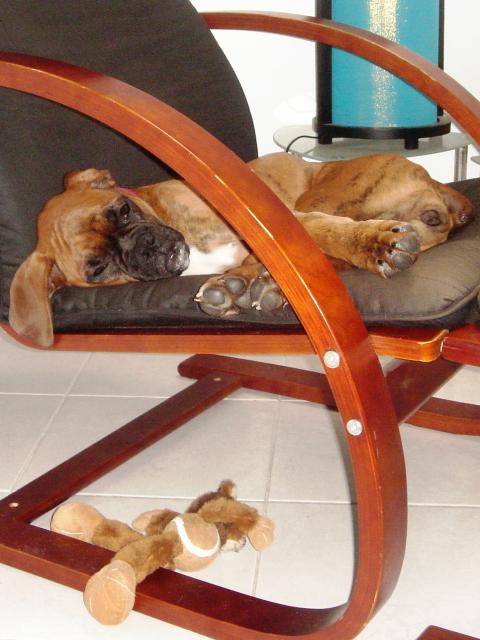 baboo ptite boxer - Boxer