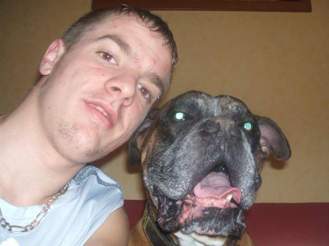 auto ,boxer - Boxer
