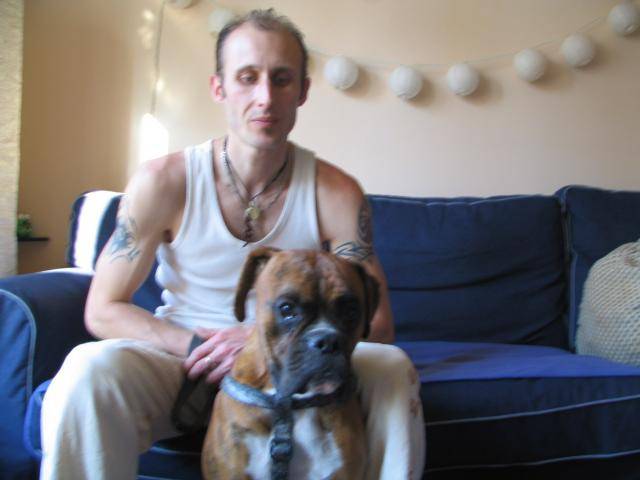 boxer - Boxer