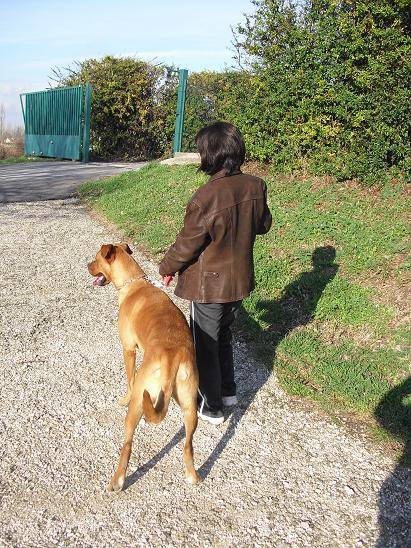 cannelle croisée boxer - Boxer