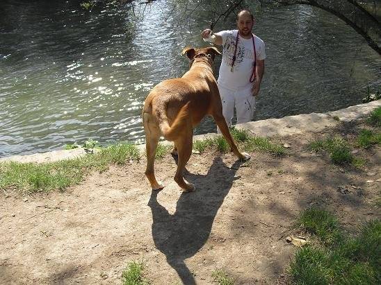 canelle croisée boxer - Boxer