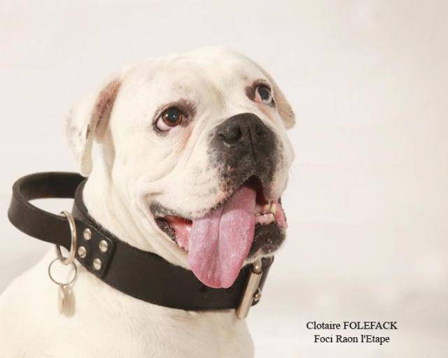 boxer blanc "vénus" - Boxer