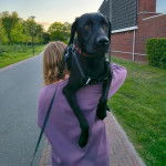 Un Labernois sur les épaules d'une personne