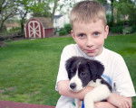 Un Jeune garçon tenant un Labernois dans ses bras