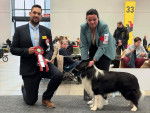 Une chienne Border Collie remportant un prix au CACIB