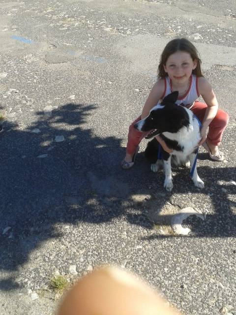 Gomette - Border Collie (4 ans)