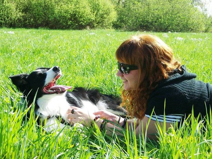 Flocky - Border Collie Mâle (1 an)
