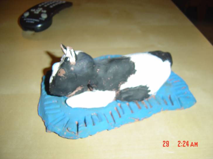 Happy - Border Collie (1 mois)