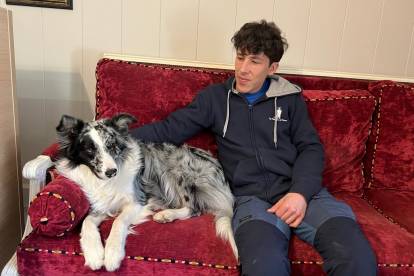 Un Bordie Collie allongé à côté d'un jeune homme sur un canapé