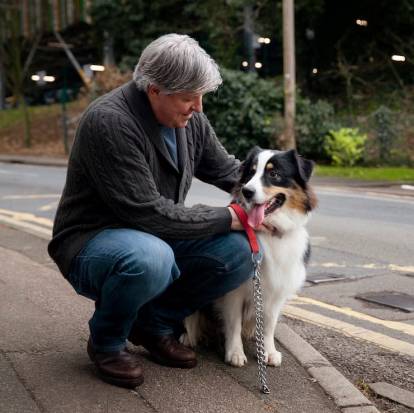 Un Border Collie assis à côté d'un homme âgé