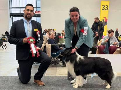 Une chienne Border Collie remportant un prix au CACIB