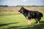 Photo Berger de Bohême