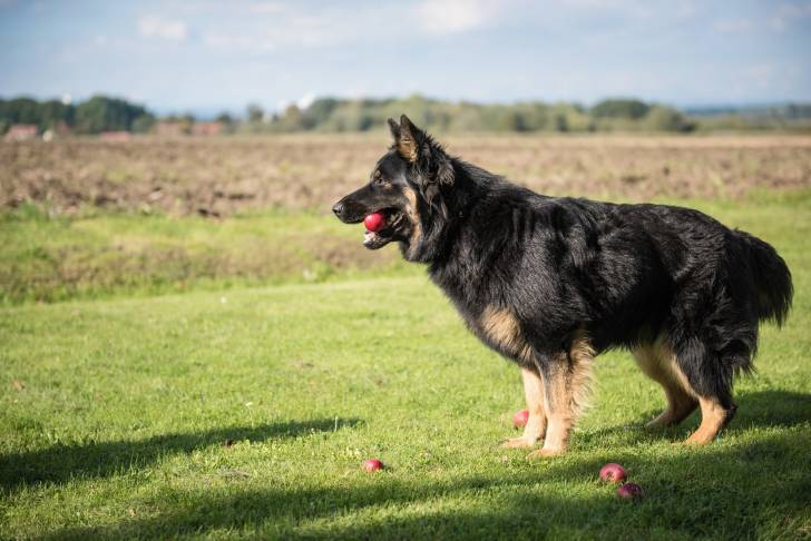 Photo Berger de Bohême