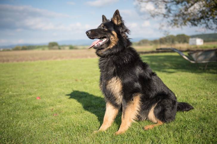 Photo Berger de Bohême