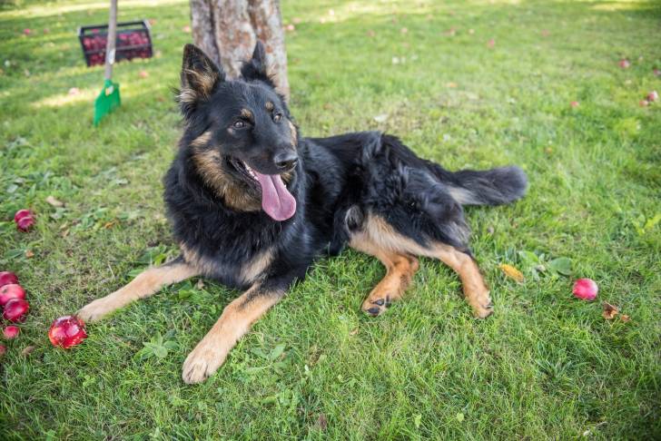 Photo Berger de Bohême