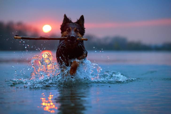 Photo Berger de Bohême