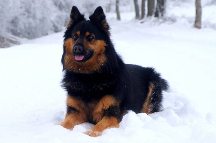 Photo Berger de Bohême