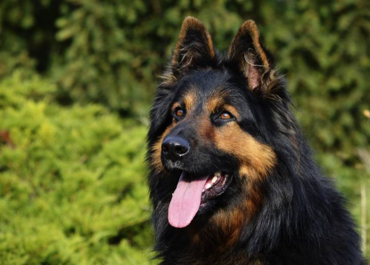 Photo Berger de Bohême