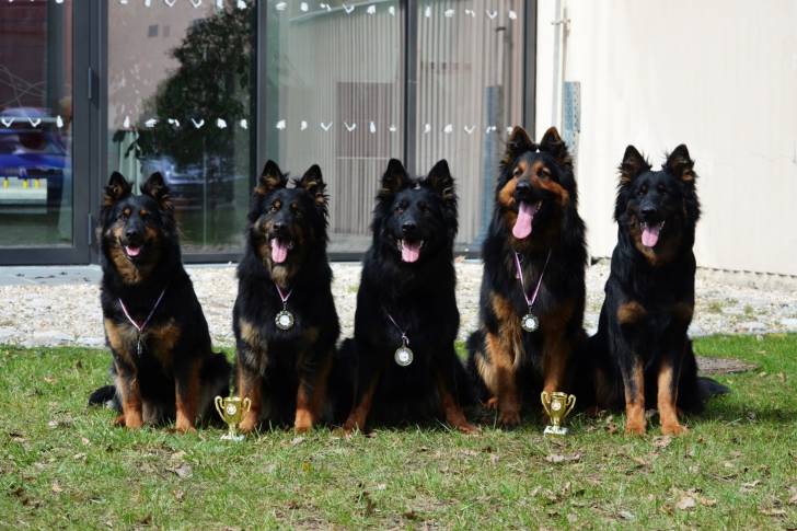 Photo Berger de Bohême