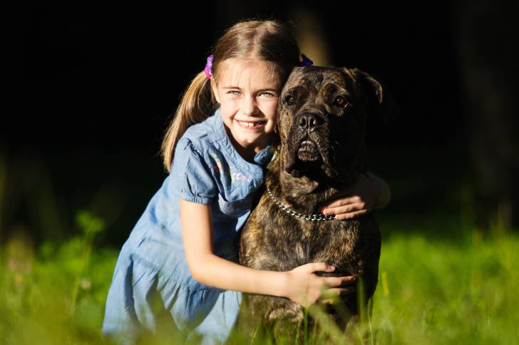 Un Cane Corso avec un enfant dans un jardin