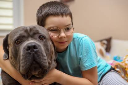 Un jeune garçon à lunette enlaçant un Cane Corso