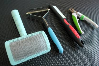 Outils de toilettage posés sur une table