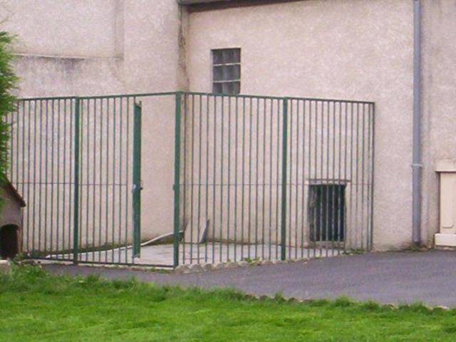 BORKA CANE CORSO - Cane Corso